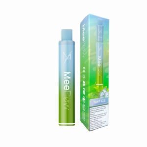 Mint Ice Vape - Unit